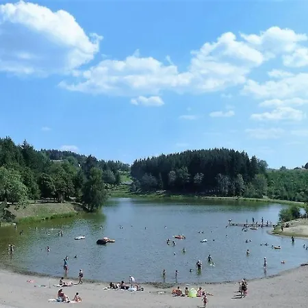 Mobile-home 4 Pers, Salon De Jardin, Barbecue - Api-1-52-1356 Champagnac-le-Vieux