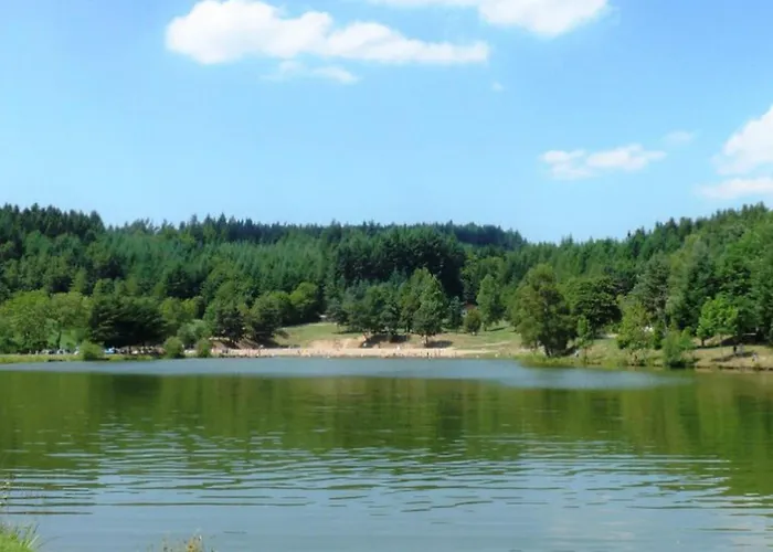 Mobile-home 4 Pers, Salon De Jardin, Barbecue - Api-1-52-1356 Campsite Champagnac-le-Vieux