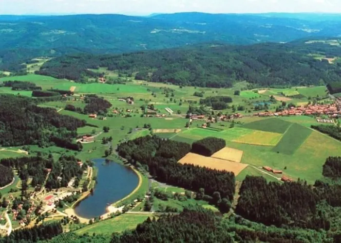 Mobile-home 4 Pers, Salon De Jardin, Barbecue - Api-1-52-1356 * Champagnac-le-Vieux