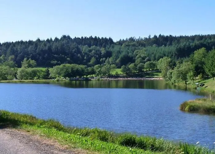 Mobile-home 4 Pers, Salon De Jardin, Barbecue - Api-1-52-1356 * Champagnac-le-Vieux