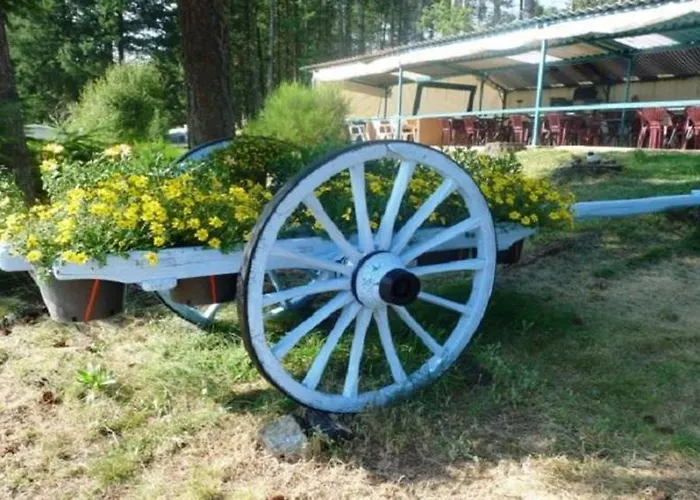 Mobile-home 4 Pers, Salon De Jardin, Barbecue - Api-1-52-1356