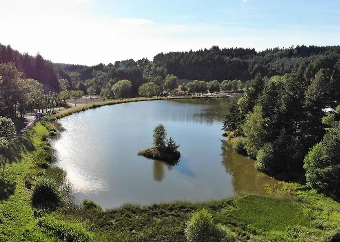 Mobile-home 4 Pers, Salon De Jardin, Barbecue - Api-1-52-1356 * Champagnac-le-Vieux